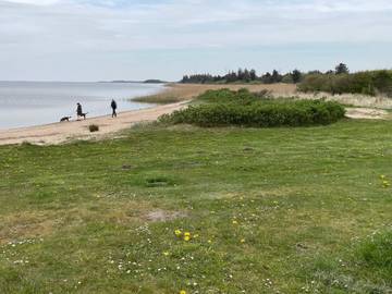 Vakantiehuis voor 6 Personen in Hemmet, Noordzee Denemarken, Afbeelding 2