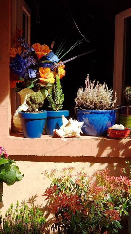 Gîte pour 4 personnes, avec terrasse à Nîmes - 3