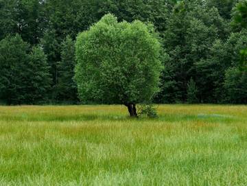 Ferienwohnung für 4 Personen in Lübbenau, Spreewald, Bild 3