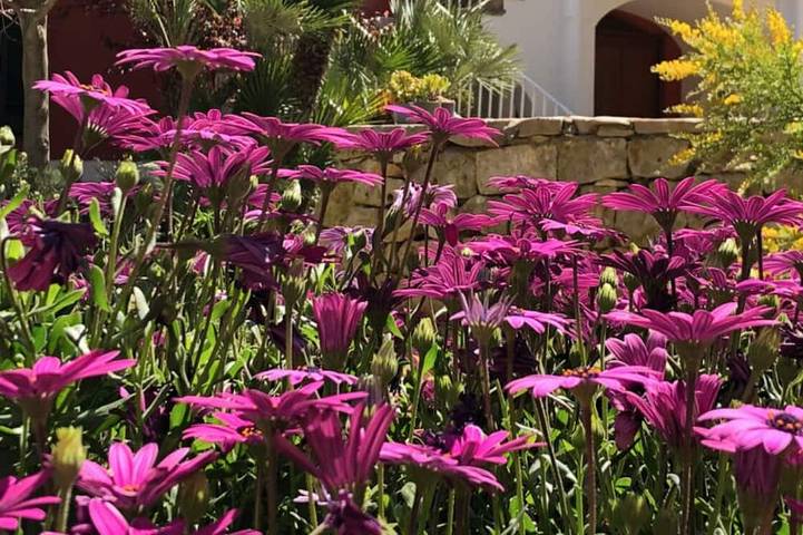 Villa pour 8 personnes, avec Terrasse et Jardin à San Bartolomeo