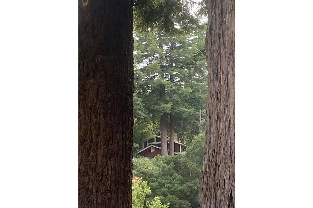 Lloyd's Lookout - spacious 3 bed retreat with stunning bay views in Inverness (CA), California North Coast