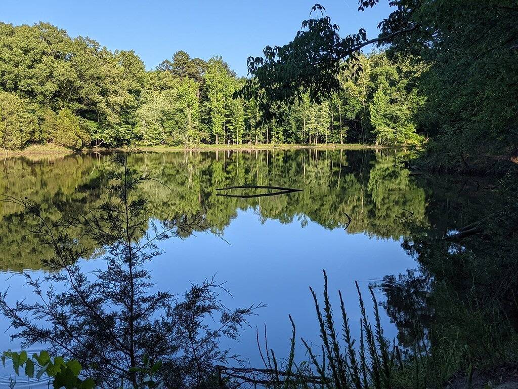 Ganze Wohnung, Game Day Weekend Condo! Walk To Campus! Pet Friendly! Whirlpool Trails! in Oxford (MS), Lafayette County