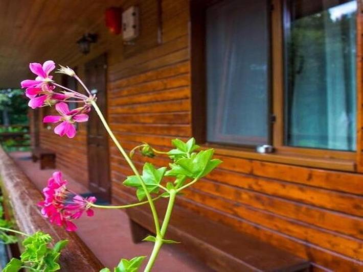 Maison d’hôte pour 2 personnes, avec jardin et vue à Bucarest - 2