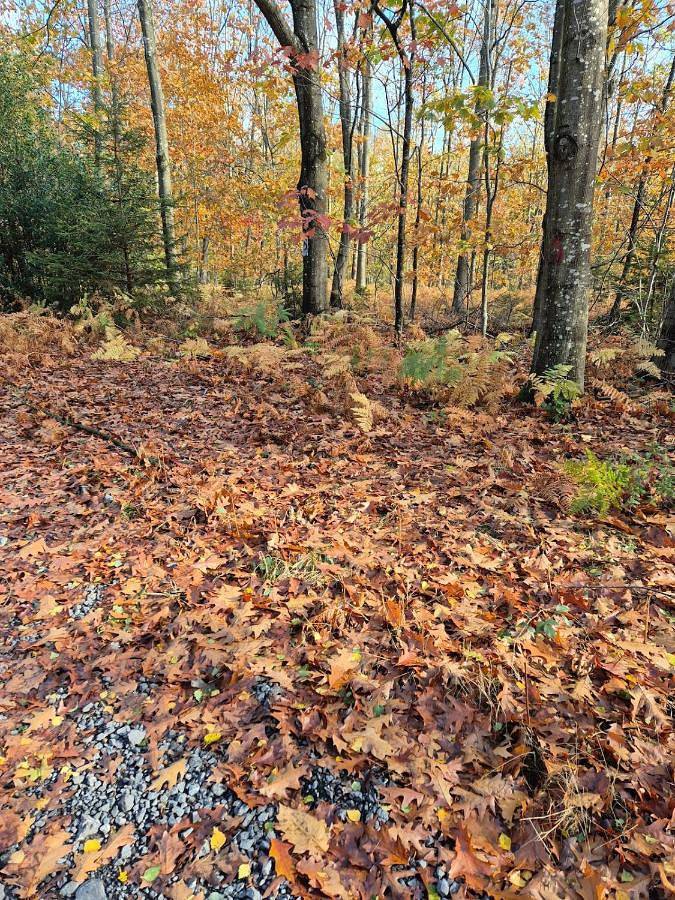 Gîte pour 2 personnes à Gerpinnes - 4