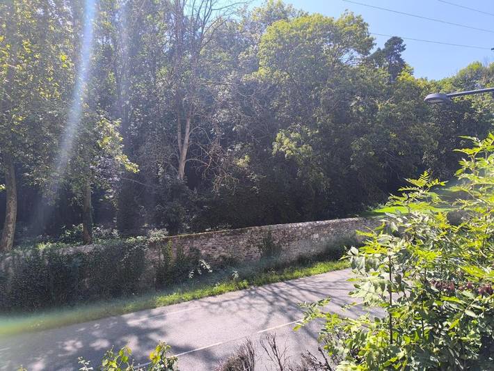 Gîte pour 6 personnes, avec jardin et vue à Montréjeau - 4