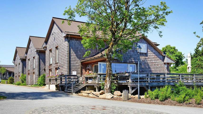 Ferienhaus für 7 Personen, mit Sauna und Garten sowie Pool im Harz - 4