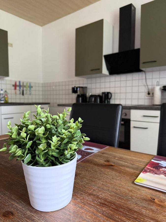 Ganze Wohnung, Fewo zum Klosterhof Og 2 in Nienhagen (Sachsen-Anhalt), Schwanebeck