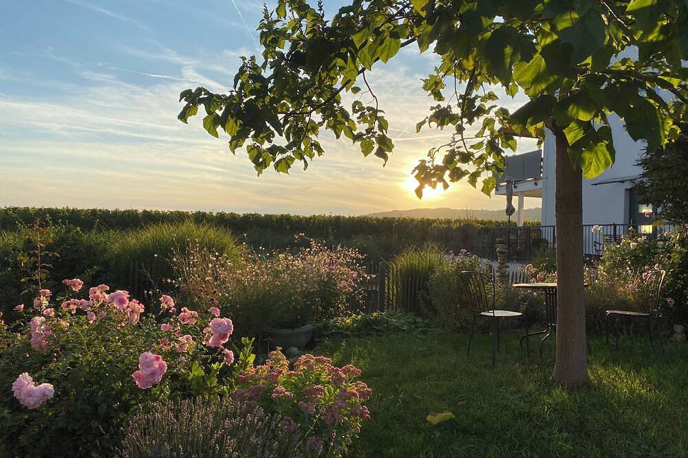 Ganze Wohnung, Sohns Ferienwohnung Sonne - Urlaub im Weingut in Geisenheim, Rheingau-Taunus-Kreis