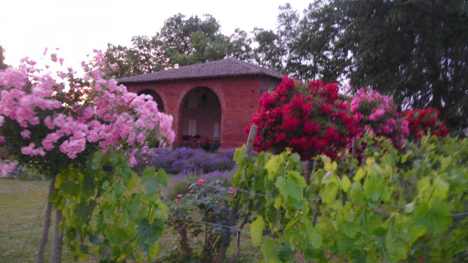 Hedwige in Gragnague, Haute-Garonne