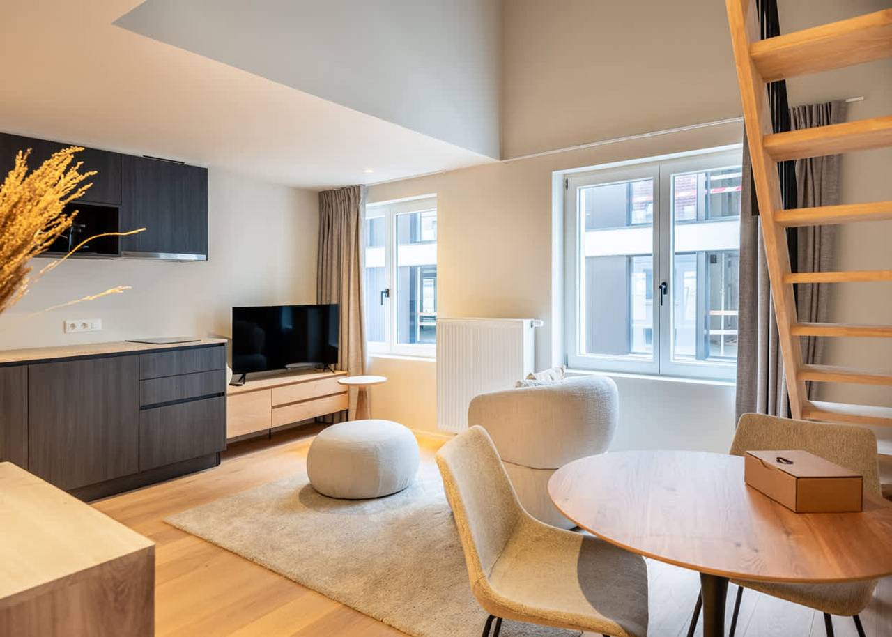 Geheel appartement, Chic Duplex Studio with City Views Ghent in Gent, Oost-Vlaanderen