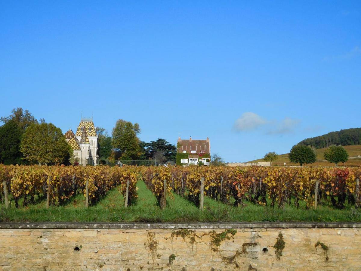 Double Room in Aloxe-Corton, Région de Beaune