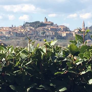 Agriturismo per 9 Persone in Castiglion Fiorentino, Provincia di Arezzo, Foto 2