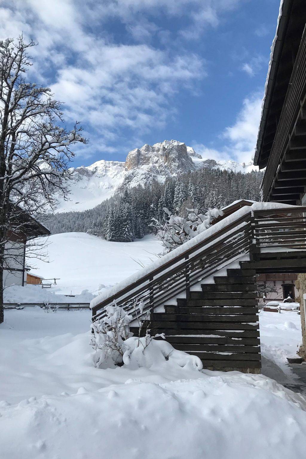 Ganze Wohnung, Mit Balkon in Comelico Superiore, Dolomiti Superski