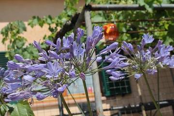 Appartamento Vacanze per 5 Persone in Civitella Paganico, Maremma, Foto 1