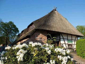 Ferienhaus für 4 Personen, mit Garten, mit Haustier in Bastorf