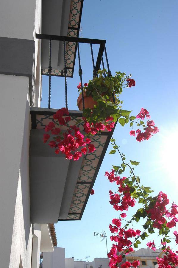 Appartement de vacances pour 3 personnes, avec vue et balcon - 1