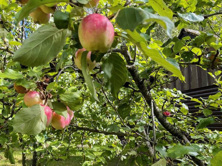 4 personer fritidhus i Smedstorp in Österlen