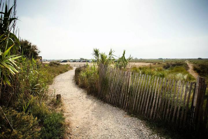 Camping pour 4 personnes, avec piscine et terrasse, animaux acceptés à Vendres - 2