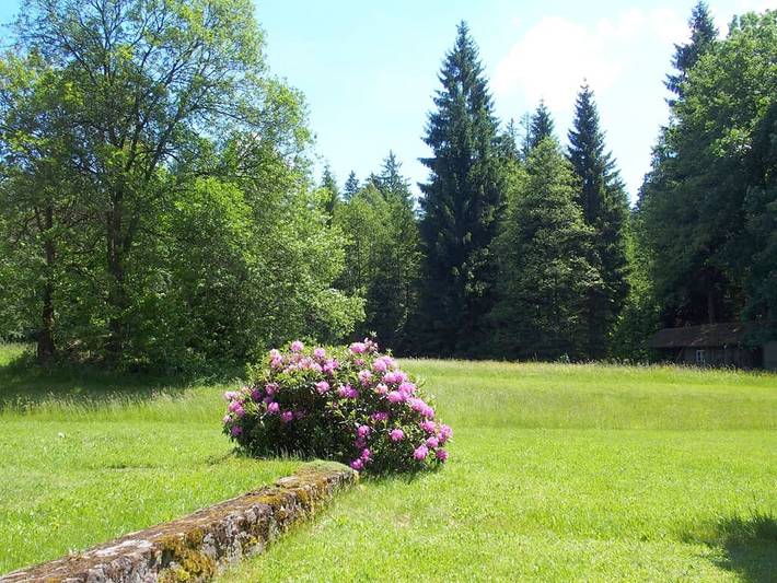 Ferienhaus für 4 Personen, mit Garten und Balkon in Waldmünchen - 3