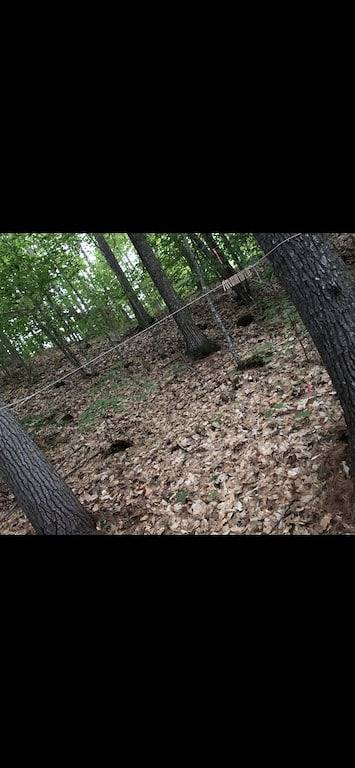 Camping for 8 Guests in Acton (Maine), Maine, Picture 1