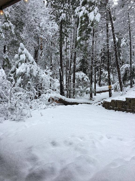 Vacation rental for 12 people, with yard and terrace, with pets in Bass Lake