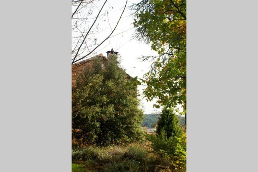 Belle et grande maison ardèchoise in Payzac (Ardèche), Parc naturel régional des Monts d'Ardèche