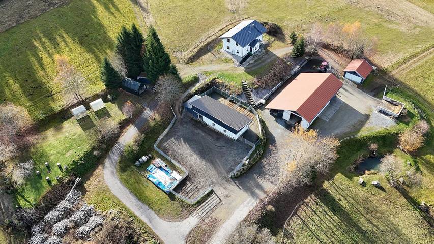 Ferienhaus für 5 Personen, mit Garten und Terrasse, mit Haustier in Schöfweg - 2