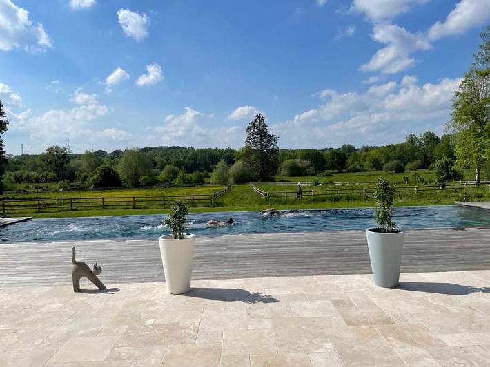Chambre d’hôte pour 2 personnes, avec terrasse et vue ainsi que piscine et jardin à Yvré-l'Évêque - 3