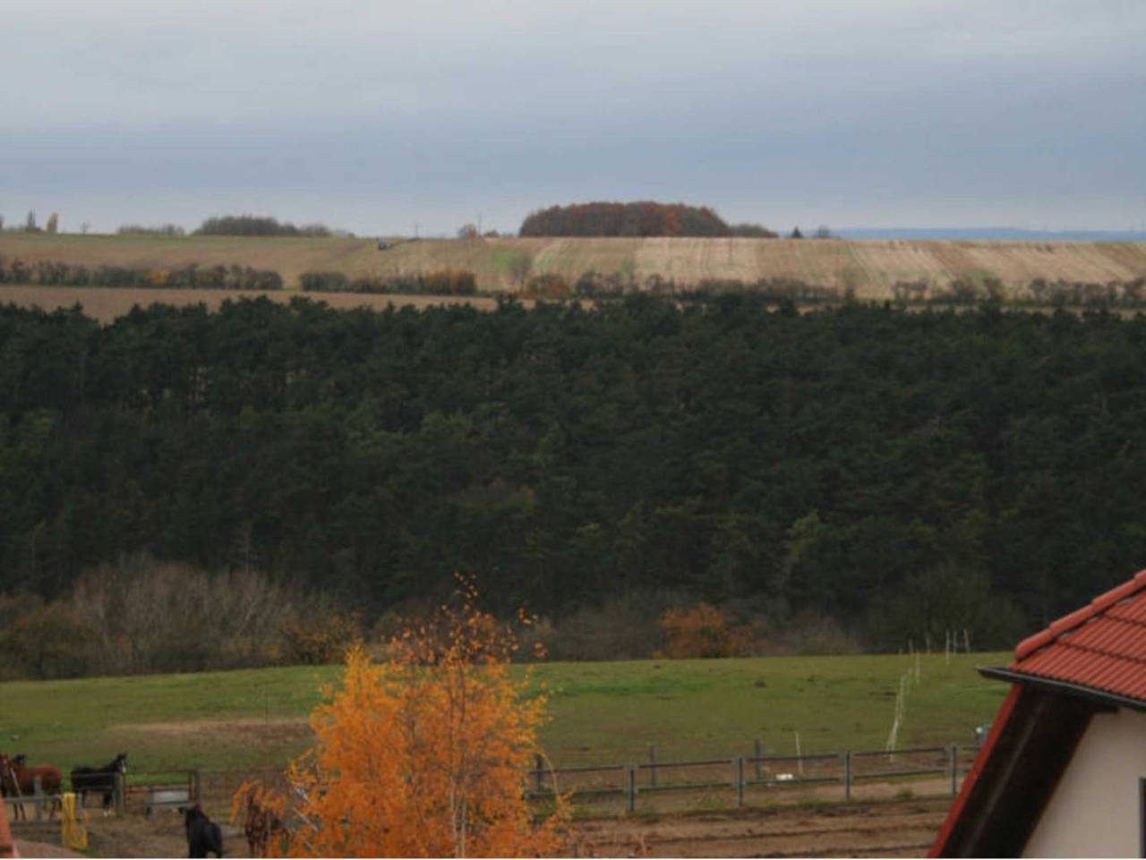 Ganze Ferienwohnung, Ferienwohnung Im Alten Gut - Ferienwohnung Im Alten Gut in Erfurt, Thüringer Kernland