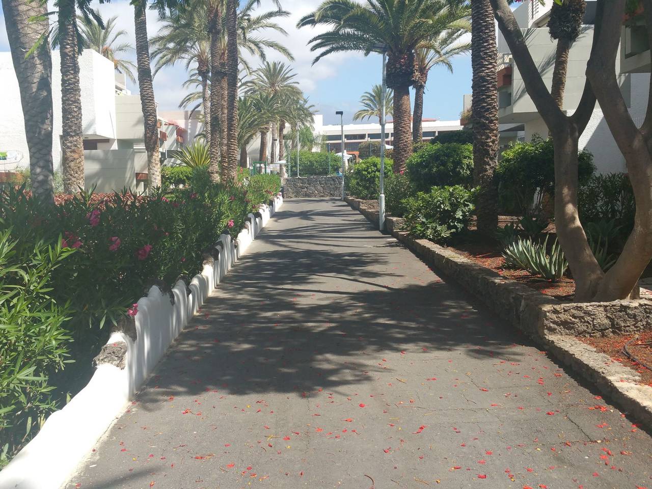 Appartement entier, "Primavera in Costa del Silencio, Arona