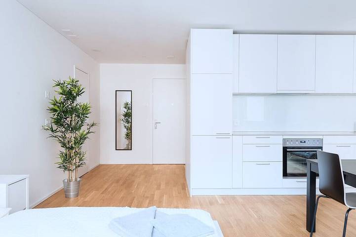 Apartamento entero, Bs Lynx Ii - Fair Hitrental Apartment in Basel Zustellkreis, Basilea