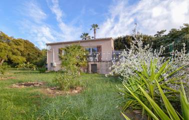 Gîte pour 6 personnes, avec terrasse et jardin, animaux acceptés dans Phare d'Alistro