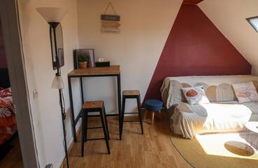 Gîte pour 3 personnes, avec vue, animaux acceptés dans Hortillonnages d'Amiens