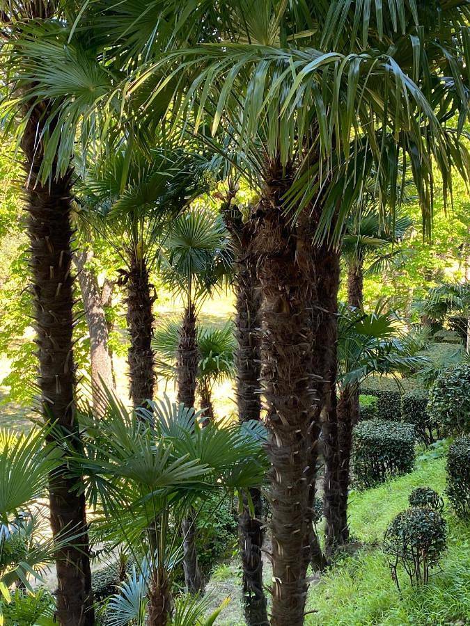 Gîte pour 4 personnes, avec jardin et sauna ainsi que piscine et vue, animaux acceptés à Lieuran-lès-Béziers - 3