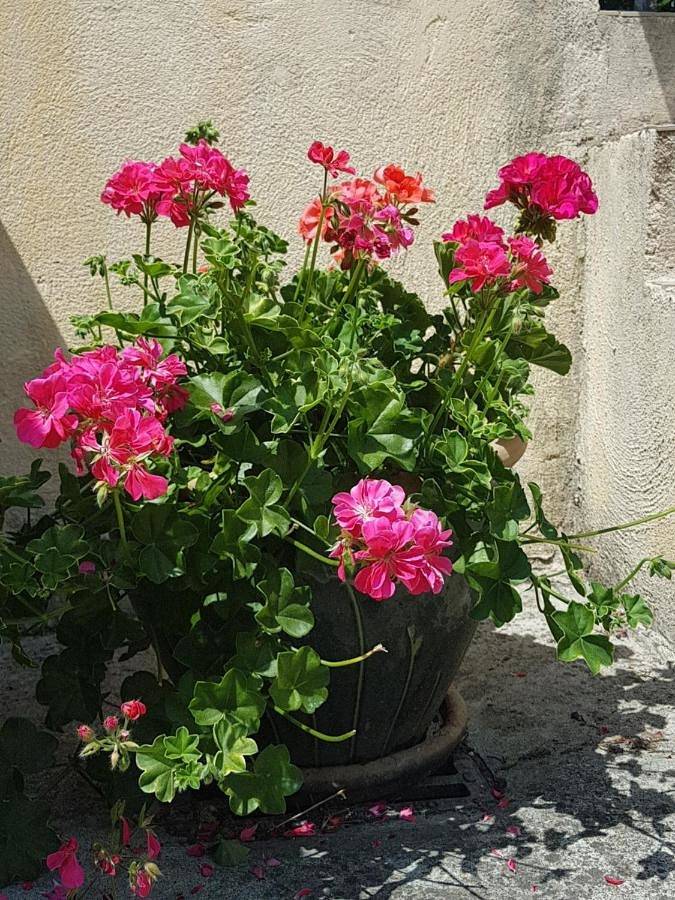 Appartement entier, Le Clos Des Colverts in Campagne-sur-Aude, Parc naturel régional Corbières-Fenouillèdes
