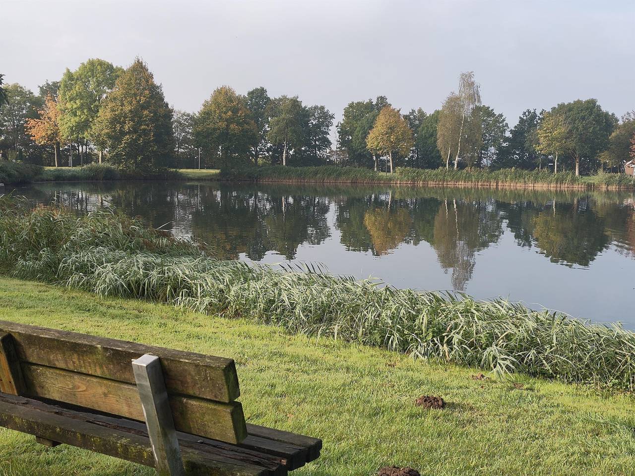 Safari Zeltlodge 1 mit eigener Küche und Bad in Westoverledingen, Nordseeküste