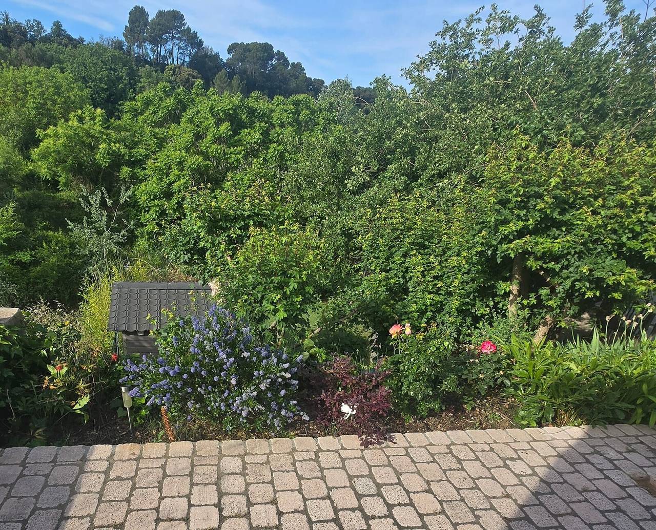 Maison de vacances « Villa 3 ch, 6 pers, piscine privée » avec piscine, Wi-Fi et climatisation in La Motte, Région de Draguignan