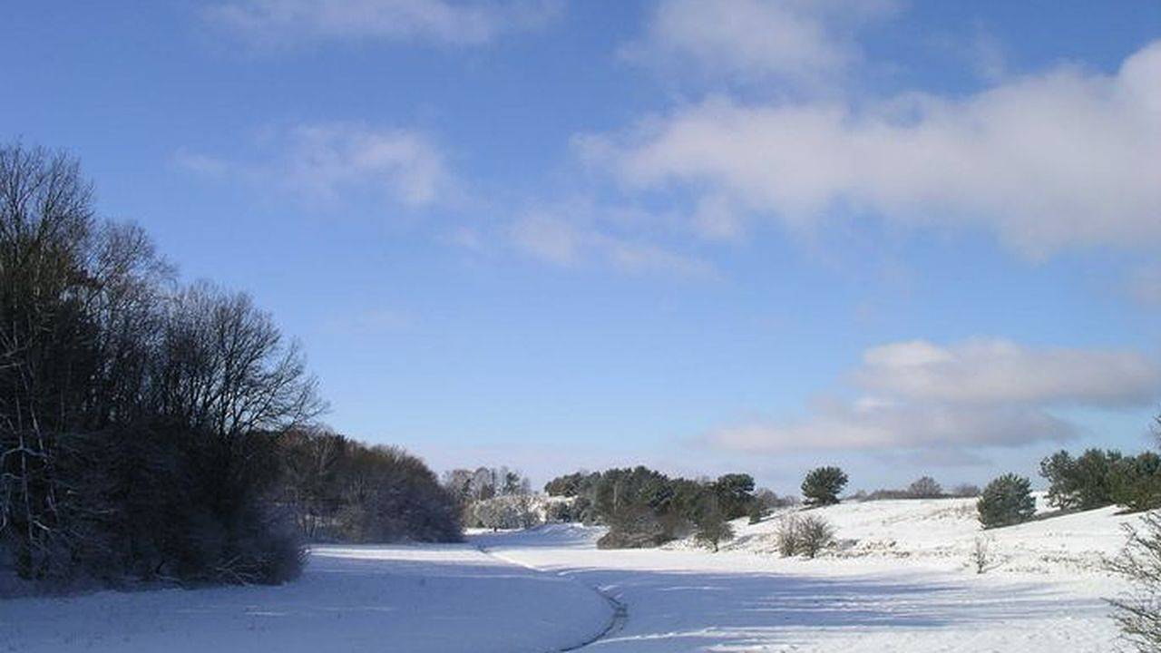 Ganze Ferienwohnung, Ferienwohnung für 3 Personen (65 m²) in Rheinsberg in Rheinsberger See, Rheinsberg