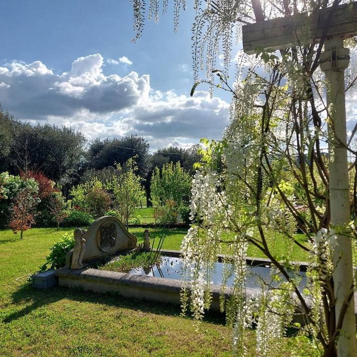 Appartamento per 4 persone, con Terrazza e Giardino nonché Panorama e Vista lago a Marta