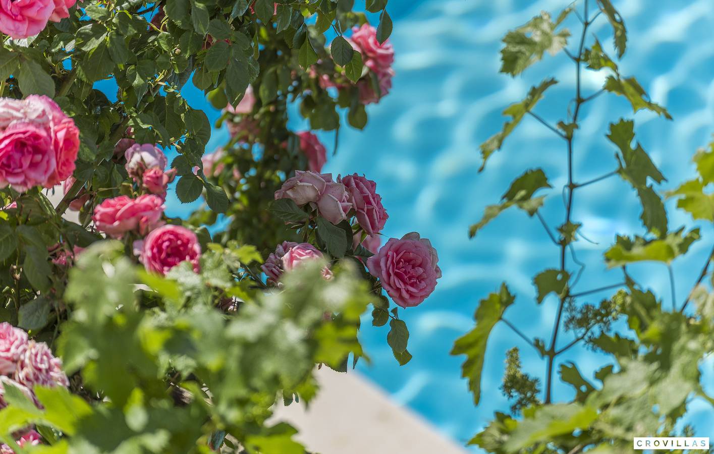 "Villa Bella Vista" nearby Porec - Crovillas in Općina Višnjan, Zentralistrien