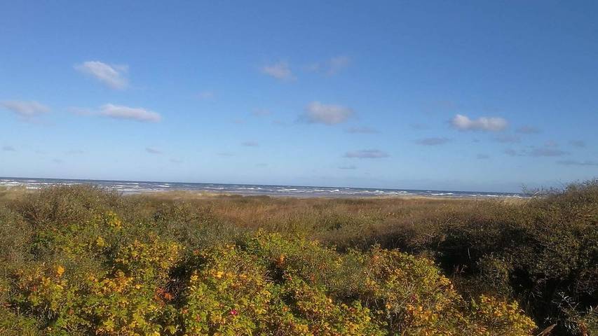 Ferienhaus für 7 Personen, mit Terrasse in Tversted - 3