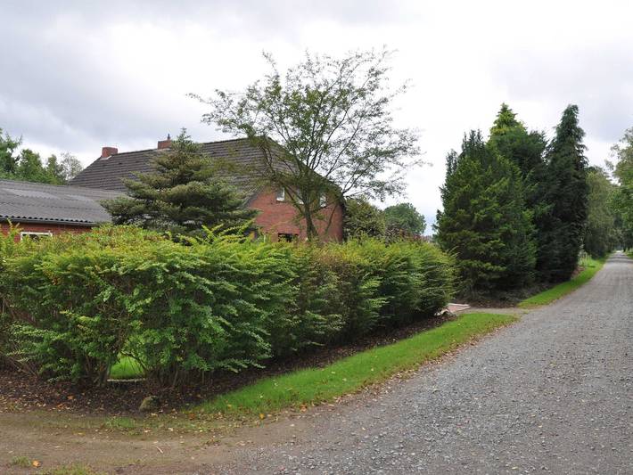 Ferienwohnung für 2 Personen, mit Garten in Ostfriesland - 2