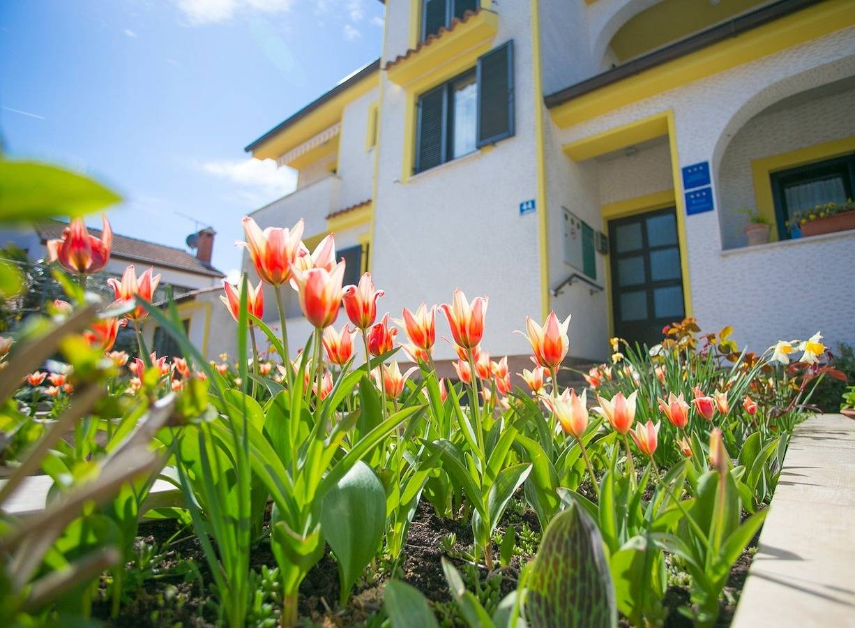 Ganze Wohnung, Apartment Matosevic Iii mit Dachterrasse in Poreč, Porec und Umgebung