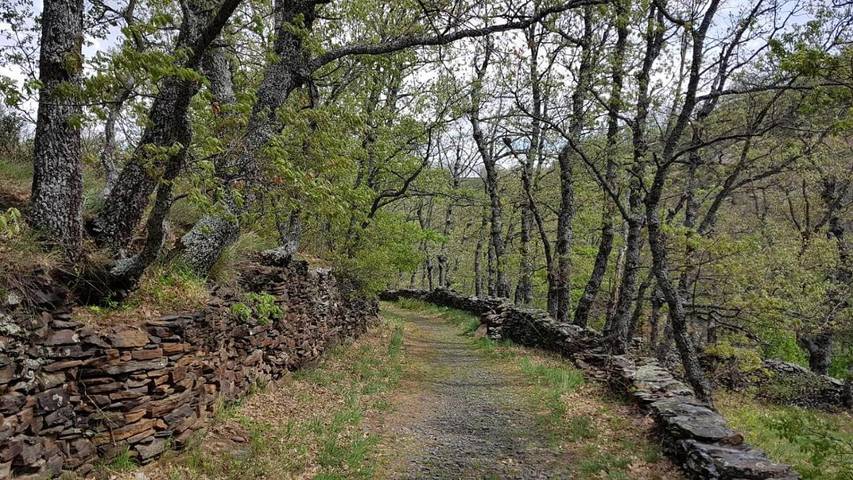 Casa de vacaciones para 20 personas, con vistas y terraza, Se admiten mascotas en Sierra Norte de Guadalajara - 4