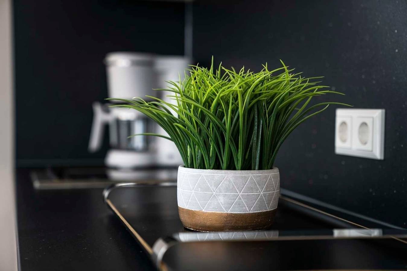 Hausboot Albatros in Laasow, Vetschau