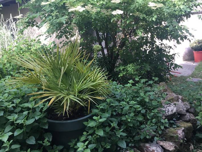 Chambre d’hôte pour 2 personnes, avec vue et jardin à Nantes - 3