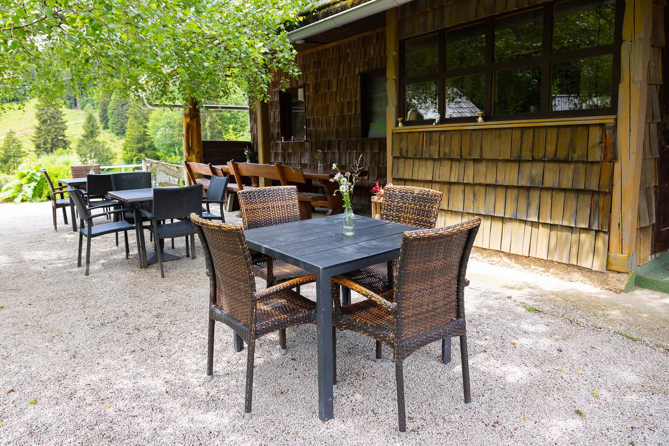 Goška Ravan Family Room near Bled in Radovljica, Carniola