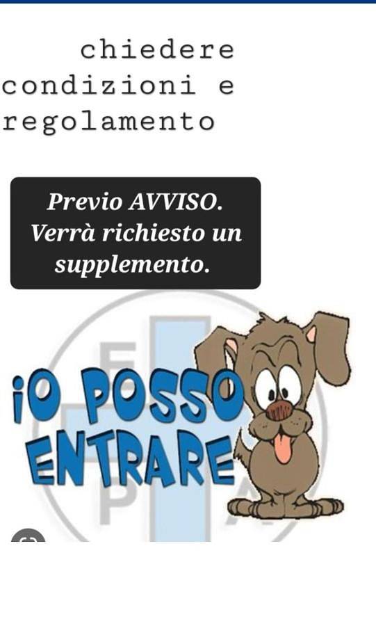 Gîte pour 3 personnes, avec terrasse et vue, animaux acceptés dans Alpe Devero - 2