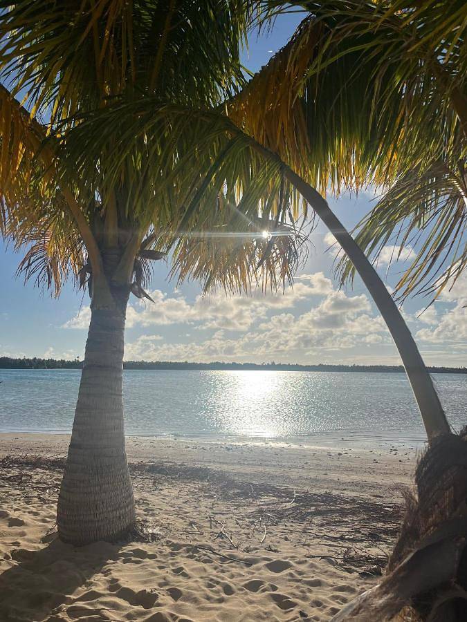 Gîte pour 2 personnes, avec jardin et terrasse dans Maupiti - 3