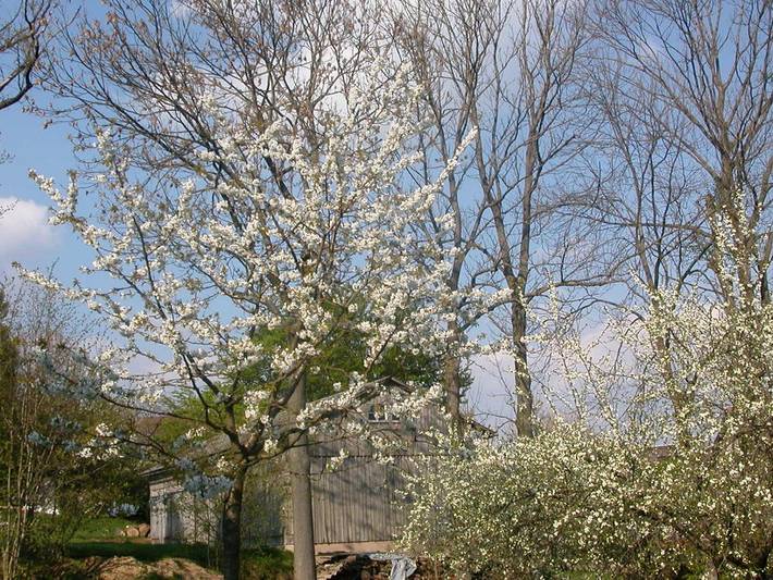 Bauernhof für 4 Personen, mit Garten und Balkon im Fichtelgebirge - 4